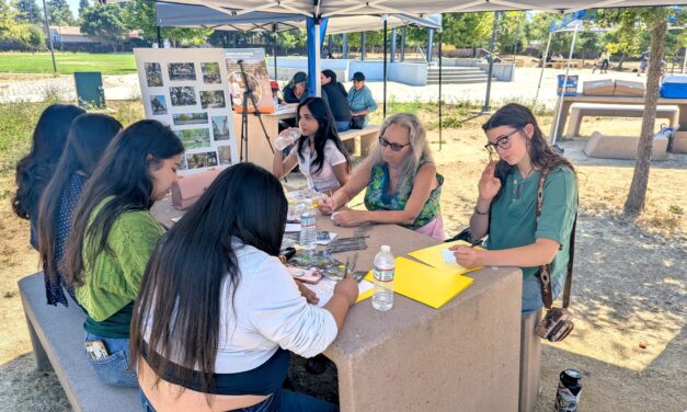 Santa Rosa Residents Rethink Trees