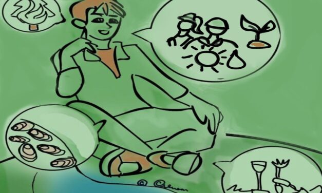 How Can I Get Clean, Green, Climate-Forward Job Training in the Bay Area?