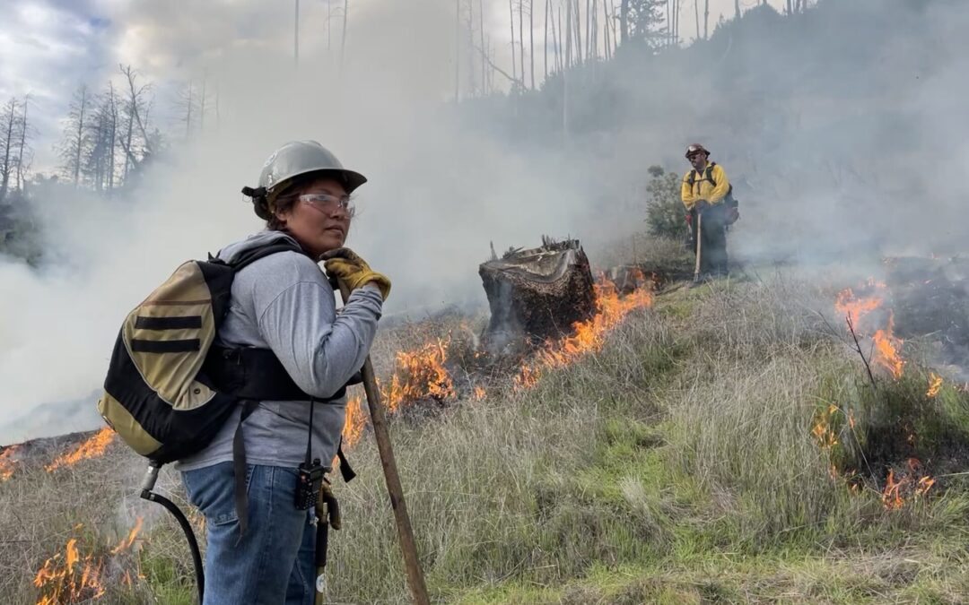 Los trabajadores de los viñedos de Sonoma queman por un futuro mejor