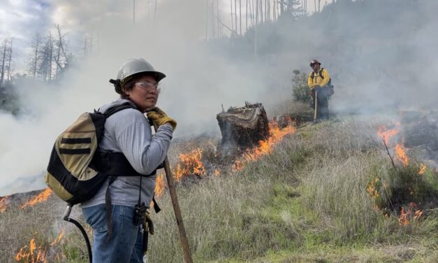 Los trabajadores de los viñedos de Sonoma queman por un futuro mejor