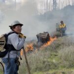 Sonoma Vineyard Workers Burn toward a Better Future