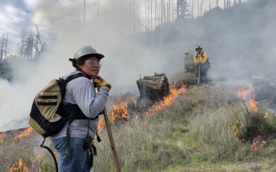 Sonoma Vineyard Workers Burn toward a Better Future