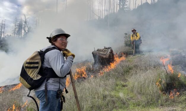 Sonoma Vineyard Workers Burn toward a Better Future