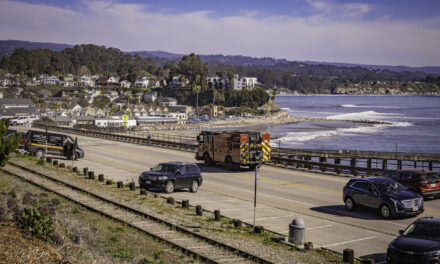 Can Nature Help California’s Coast Fight Fire and Floods?