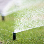 The End is Coming for California’s Untouchable Grass