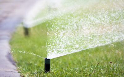 The End is Coming for California’s Untouchable Grass