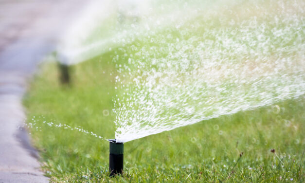 The End is Coming for California’s Untouchable Grass