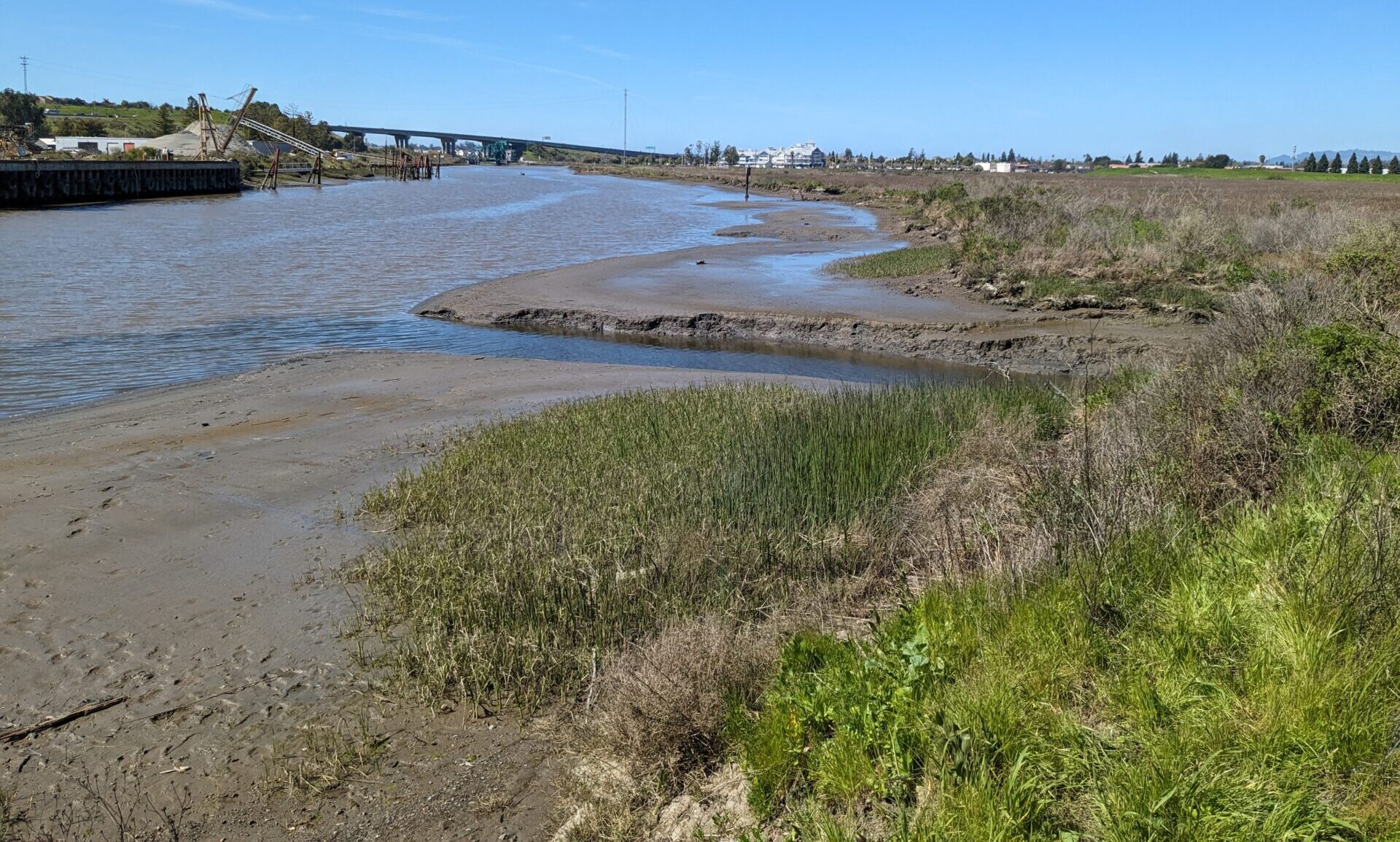 Mouth of Adobe Creek flowing into Petaluma River.