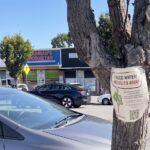 It’s Always Sunny In North Fair Oaks