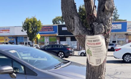 It’s Always Sunny In North Fair Oaks