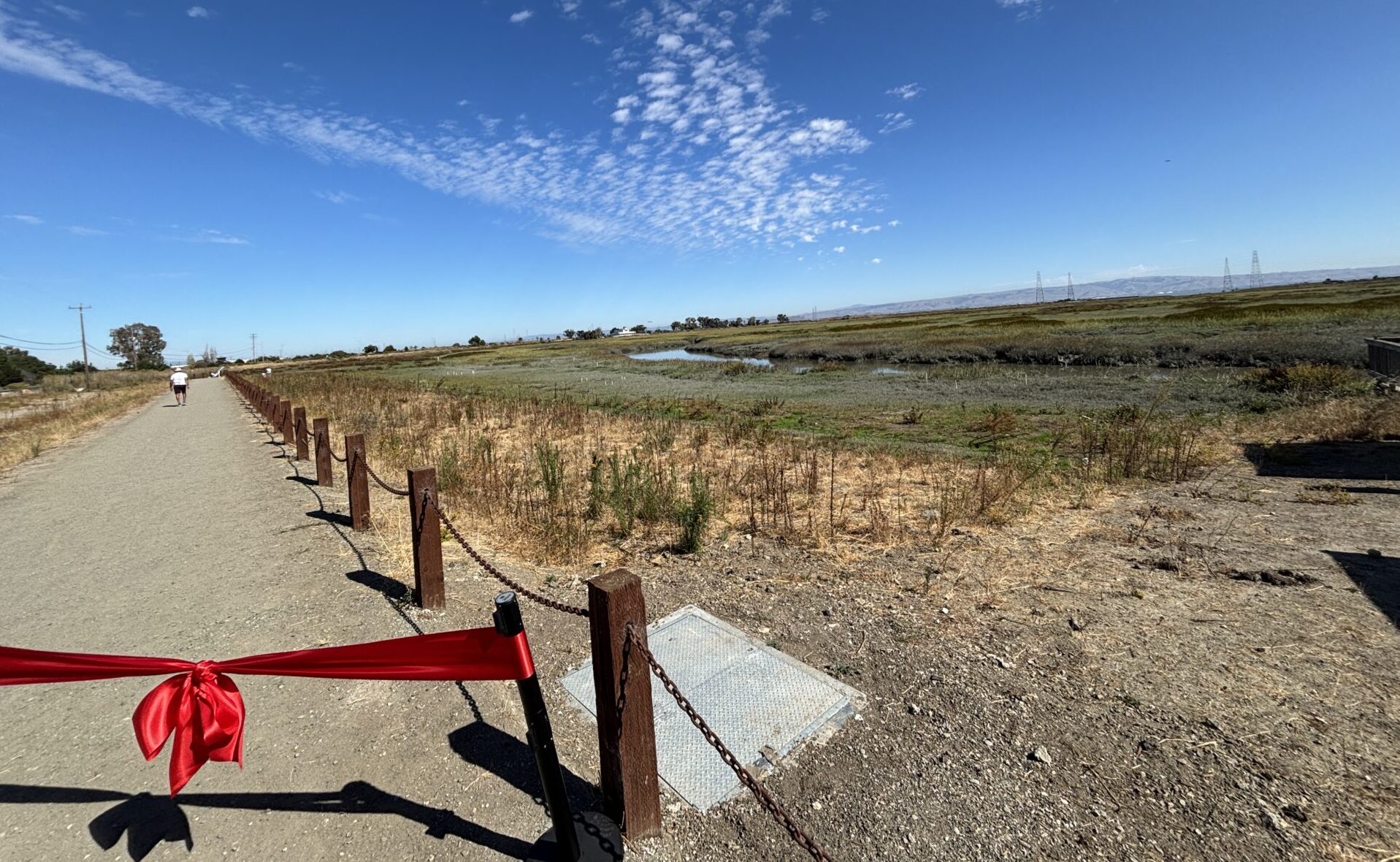 Palo Alto's horizontal levee project.