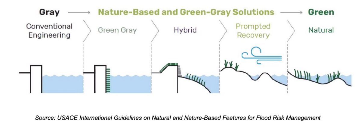 Variety of gray green infrastructure solutions to flood risk presented in a schematic diagram.