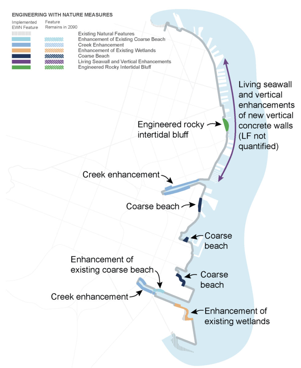 Recommended nature-based options for San Francisco seawall from the July 2026 coastal flood study. Art: USACE