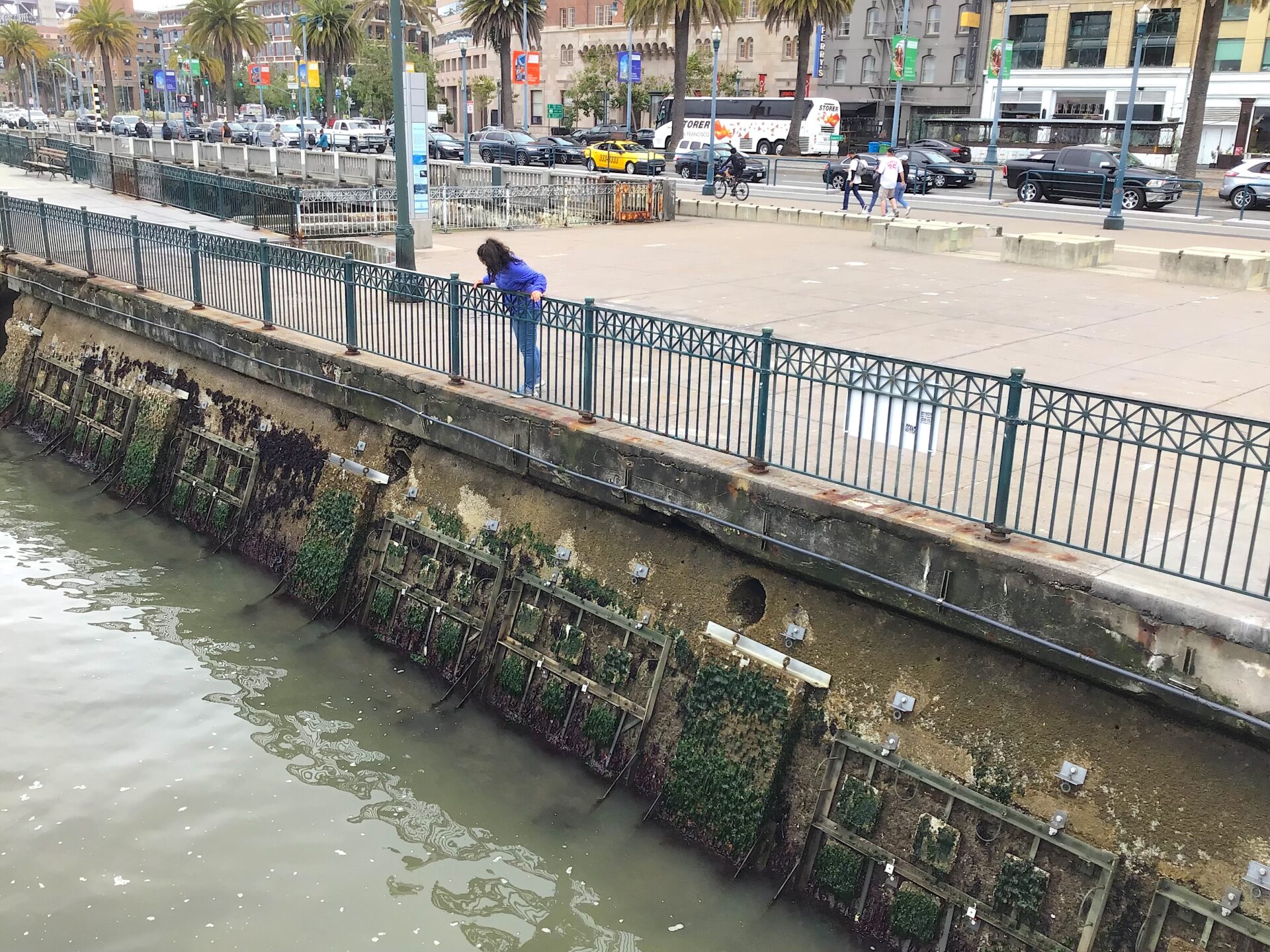 San Francisco seawall.