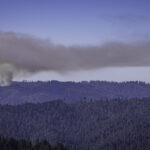 Fire Weather in the Wind