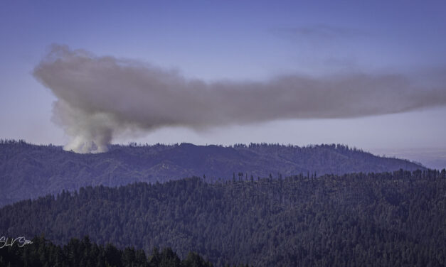 Fire Weather in the Wind