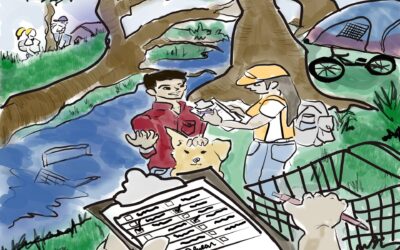 Creeks Make Good & Bad Homes
