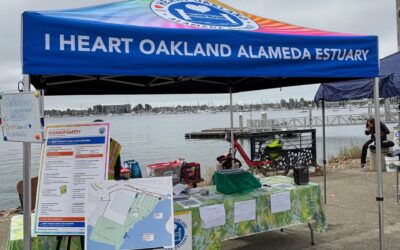 My Morning Cleaning Up the Oakland Estuary