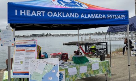 My Morning Cleaning Up the Oakland Estuary