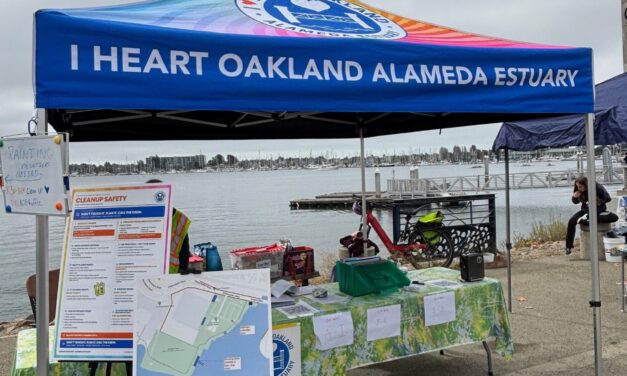 My Morning Cleaning Up the Oakland Estuary