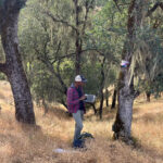 Birds, Not Bats, Flock to Burned Oak Savannas
